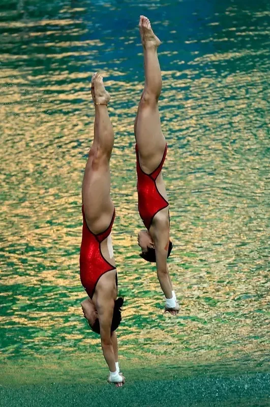 跳水世界杯_跳水世界比赛_跳水世界杯比赛项目